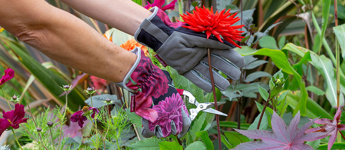 Pretty and practical: gorgeous new gardening gifts for Christmas