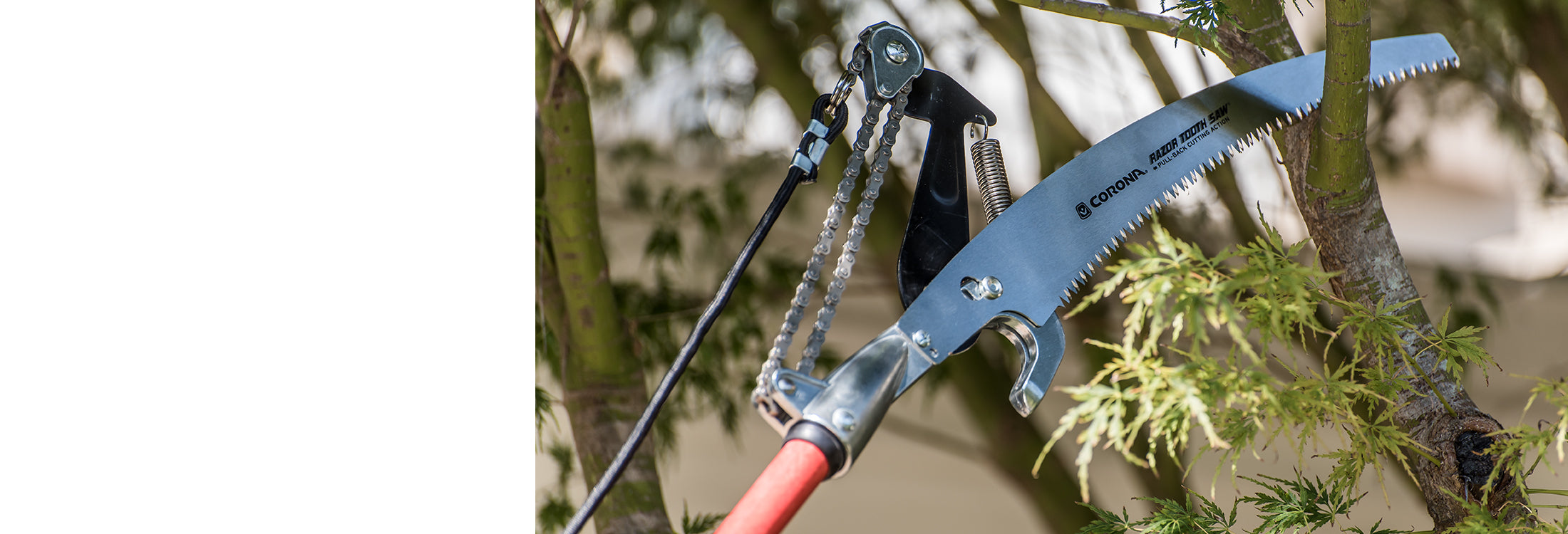 Corona MAX Tools