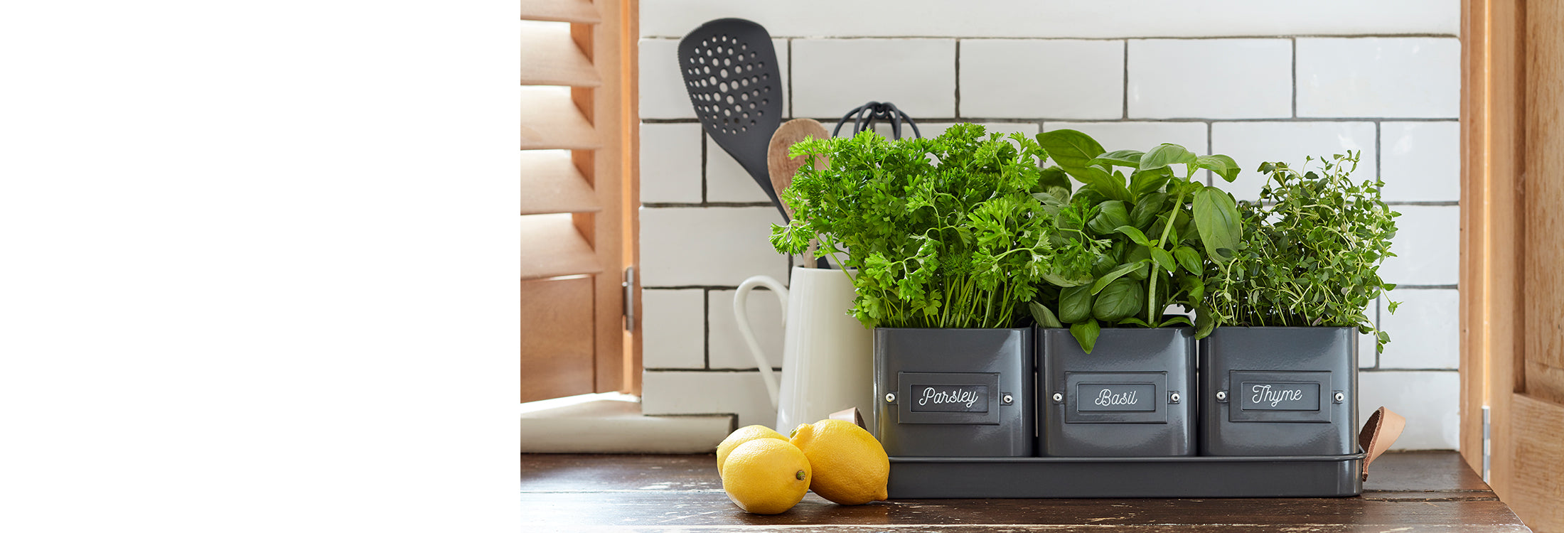Growing your own herbs