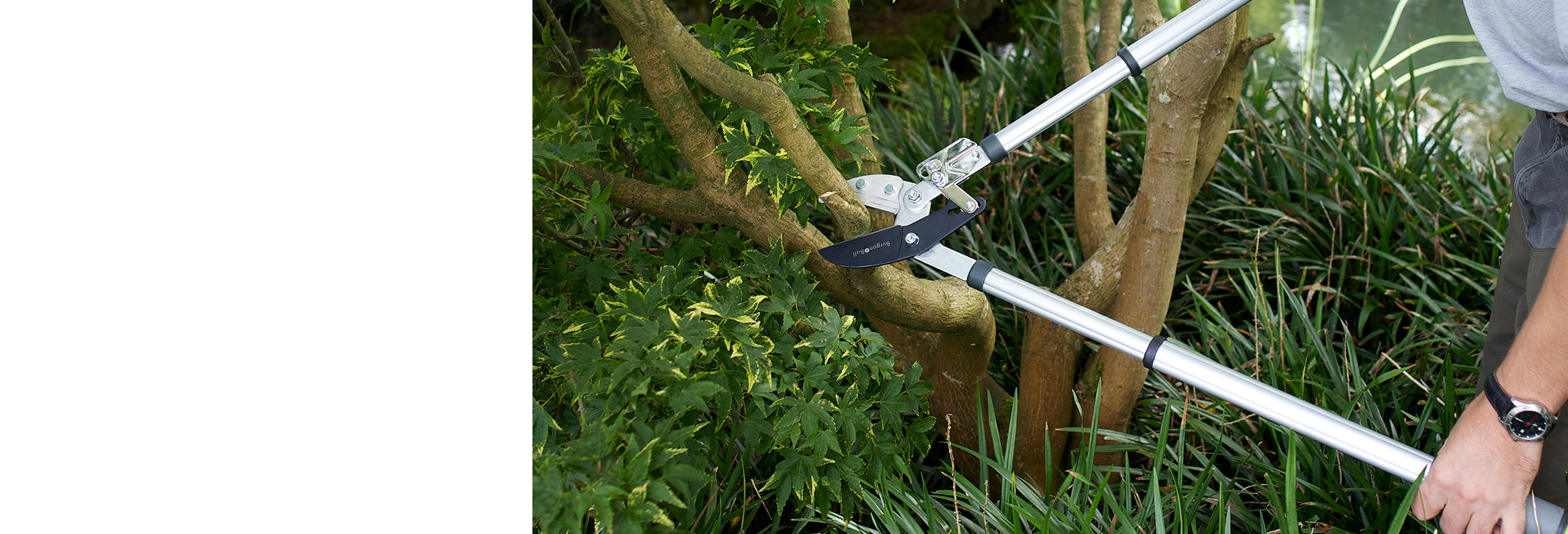 Winter Pruning