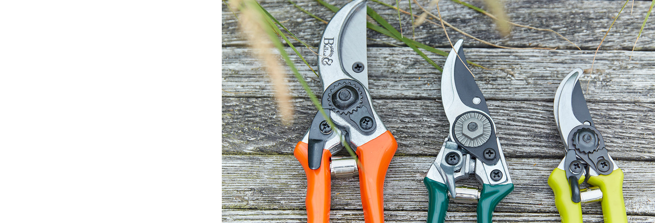 Horticultural Pruning Tools