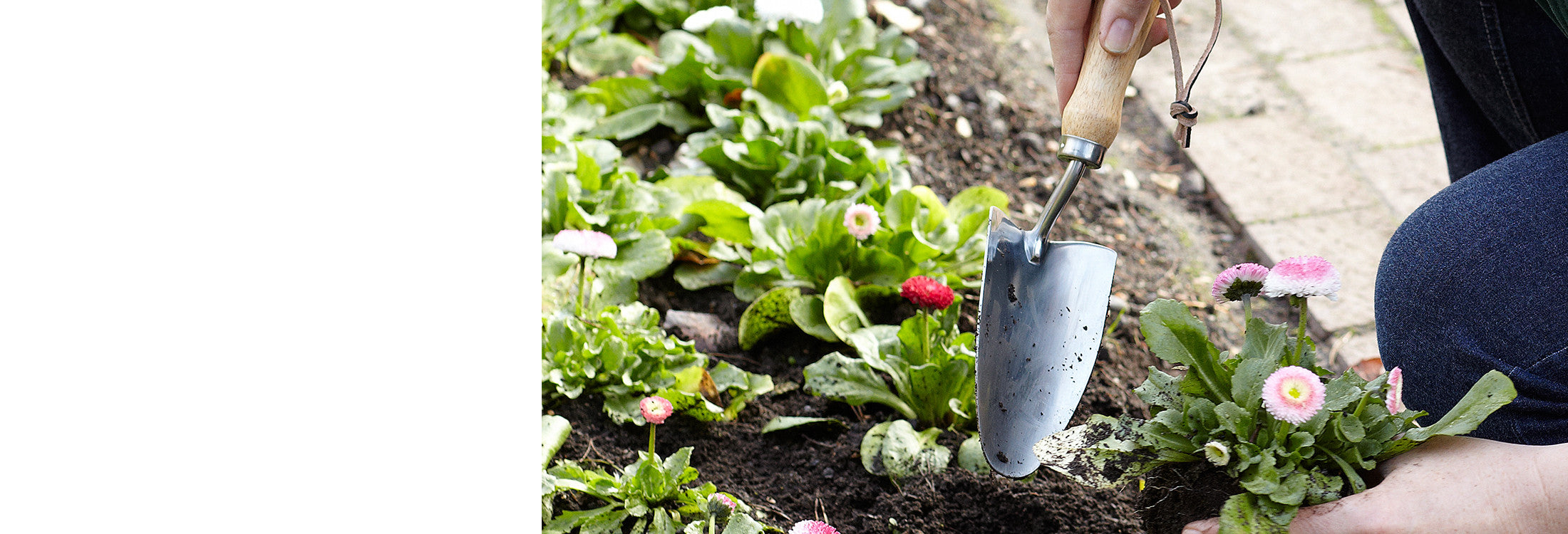 Hand Trowels & Planting Tools