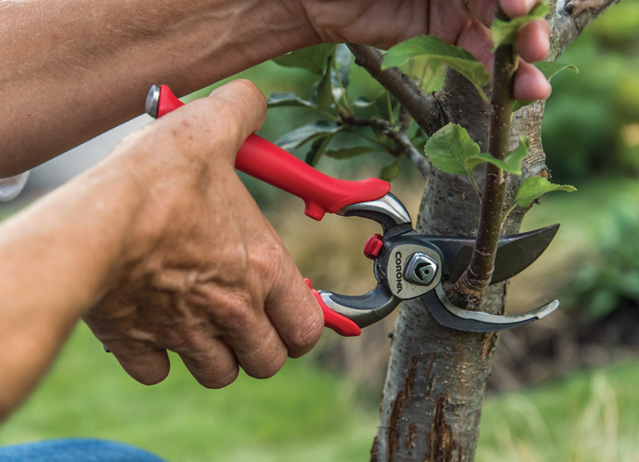Corona tools