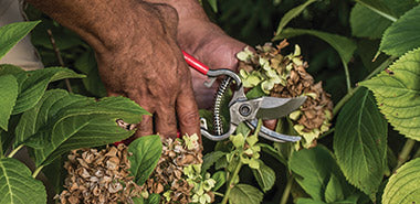 Exceptional hand pruners with designs that have stood the test of time, ClassicCut® tools are fully drop forged for optimal strength in both blade and handle. Favoured by professionals for outstanding cutting performance.