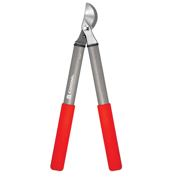 Branch on sale loppers lowes