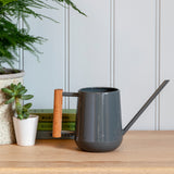 Indoor watering can by Burgon & Ball - charcoal. Succulent can.
