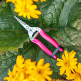 Burgon & Ball FloraBrite RHS-endorsed fluorescent pink flower & fruit snip