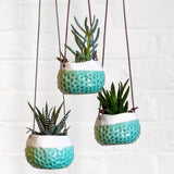 'Baby Dotty' hanging plant pot by Burgon & Ball, indoor plant pot