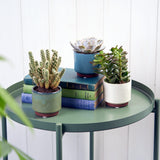 Malibu succulent pots by Burgon & Ball