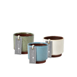 Malibu succulent pots by Burgon & Ball
