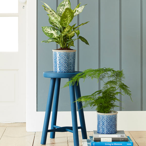 blue plant pot indoor Porto Dark Blue Glazed Pot - Large