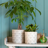 Venetian small grey indoor plant pot by Burgon & Ball