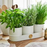 Sophie Conran for Burgon & Ball herb pots - buttermilk