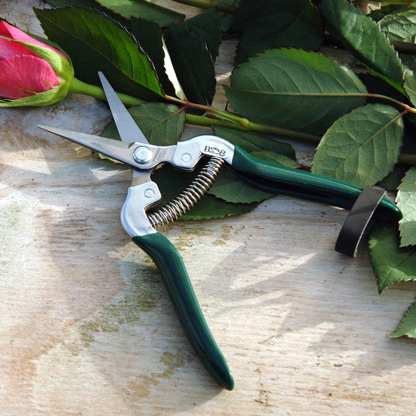 Flower snips clearance