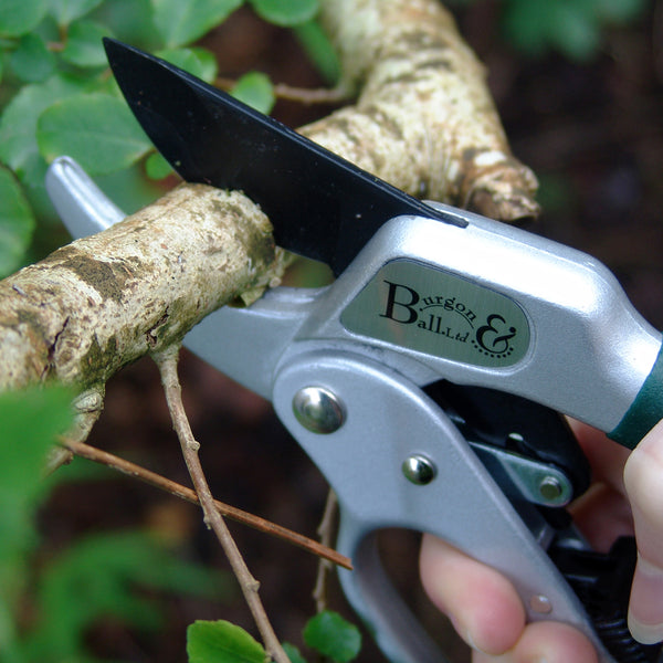 Burgon and ball discount pruning saw