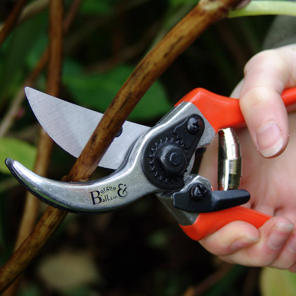 Bypass Secateurs RHS Endorsed Burgon and Ball