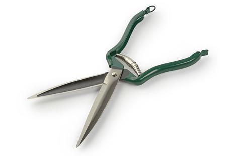 Burgon & Ball Dagging Shears Incurved Bow - 6.5 - HOOVES AND BOONIES