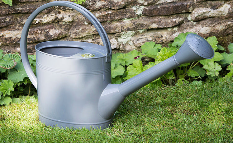 Product of the Month: August - Waterfall 5L watering can