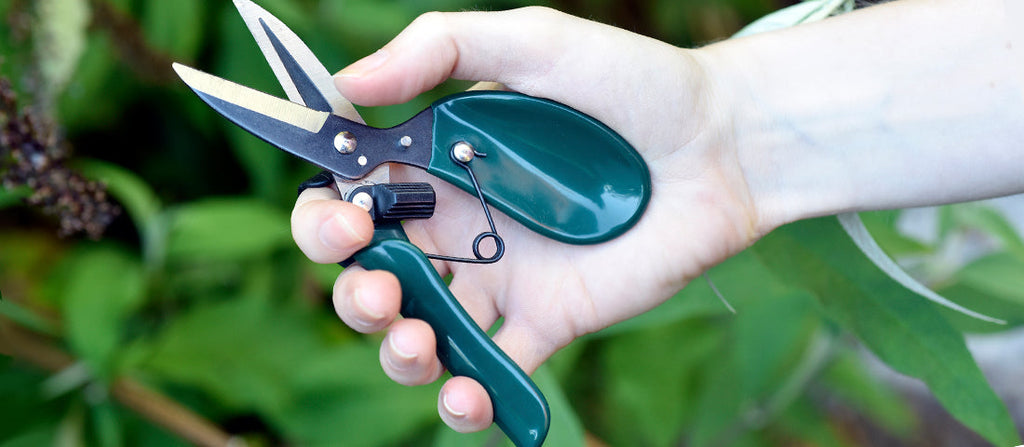 Product of the Month: June - RHS-endorsed ergo deadheader | Burgon ...