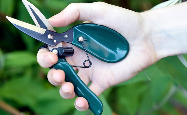 Product of the Month: June - RHS-endorsed ergo deadheader