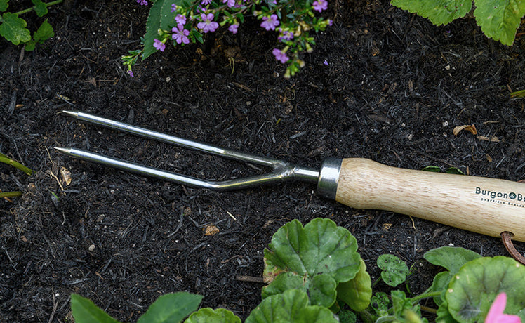 Product of the Month: May - RHS-endorsed weeding fork