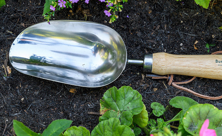 Product of the Month: October - RHS-endorsed compost scoop