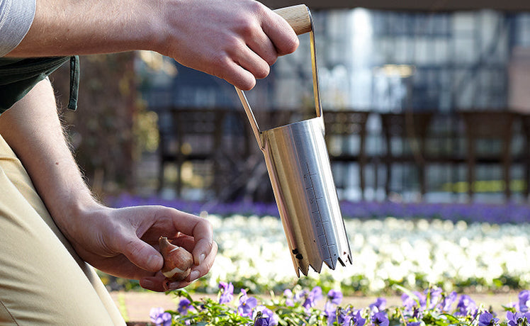 Product of the Month: September - RHS-endorsed bulb planter