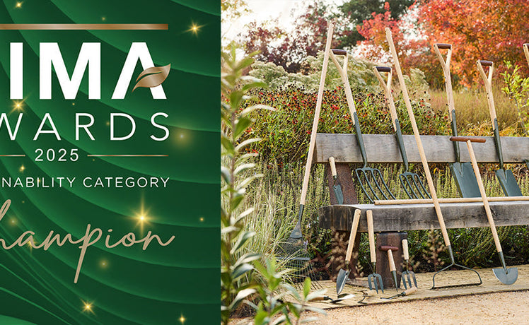 A sustainability award for BoronGreen