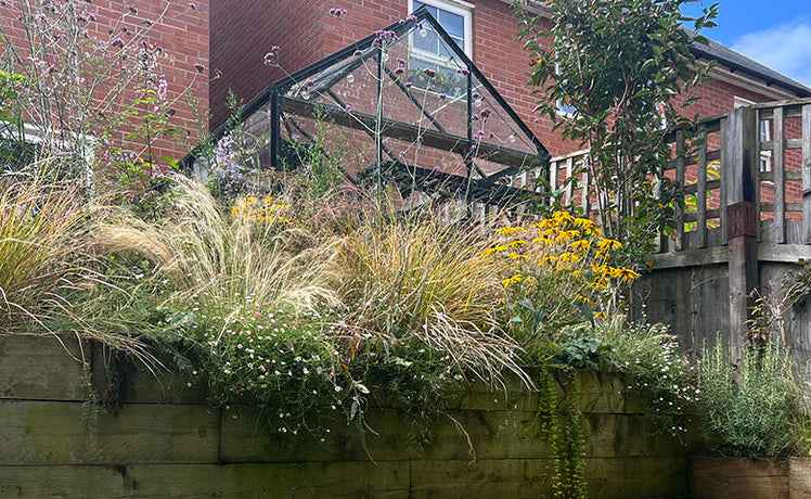 How to make a new garden flourish - and there's a giveaway, too!