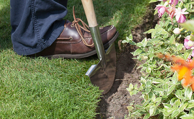 Tips on edging your lawn this spring