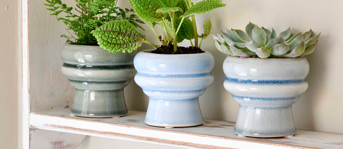 Stylish new looks in indoor pots from Burgon & Ball