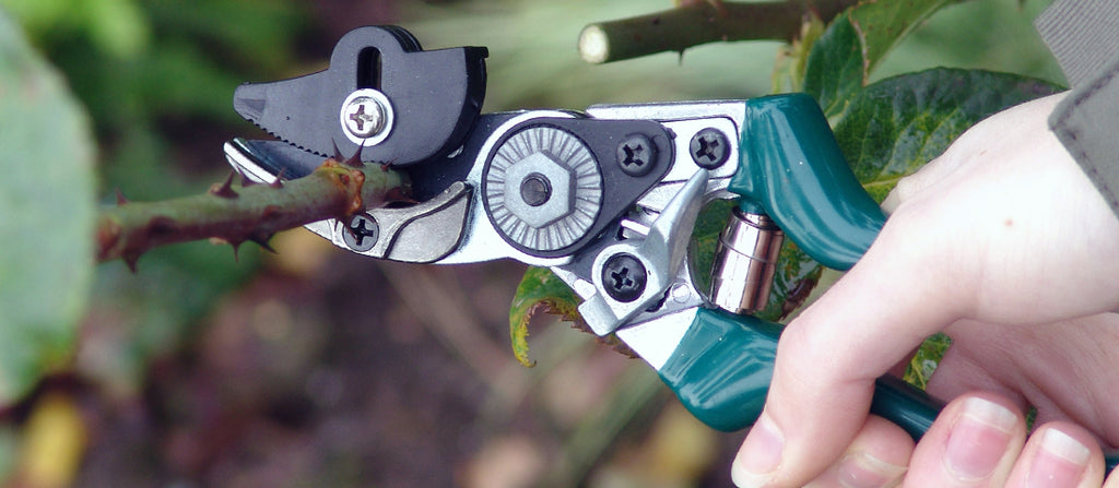 Win a winter pruning kit with Burgon & Ball & Muck | Burgon & Ball Blog ...