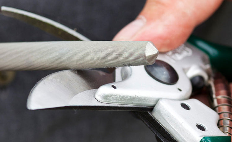 TLC for tools: tool maintenance to make your tools last longer