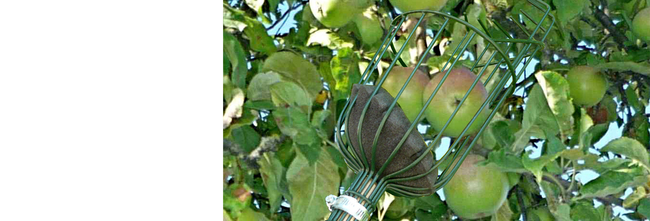 Trade Apple Picker