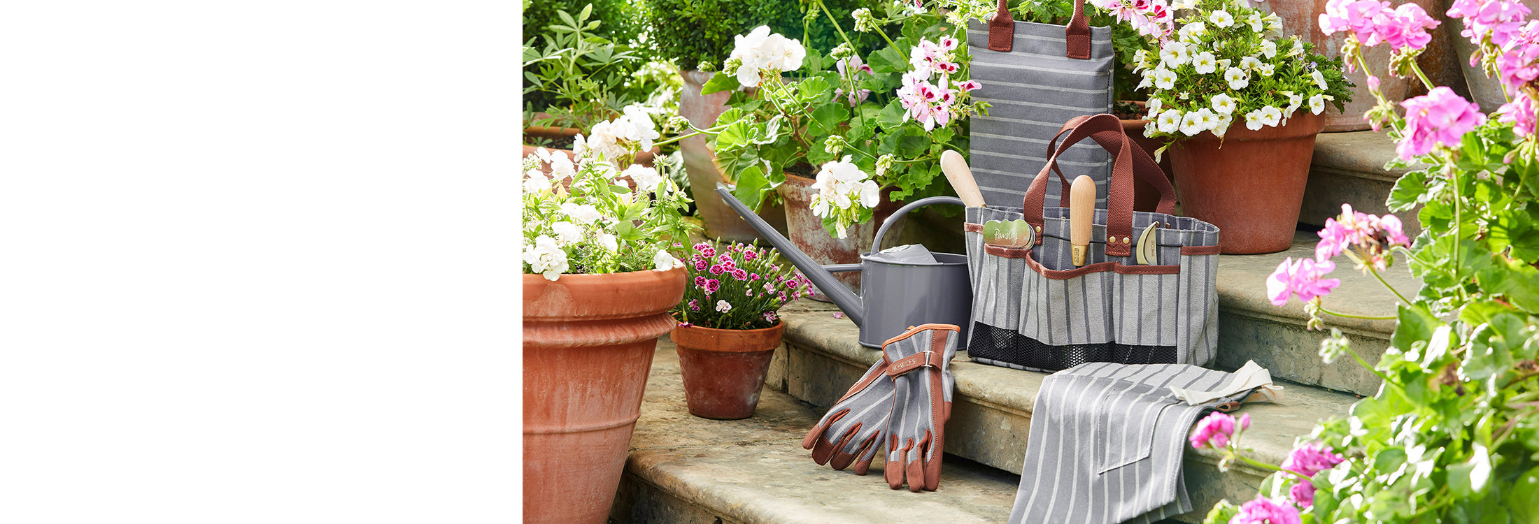 Black Friday: 30% off