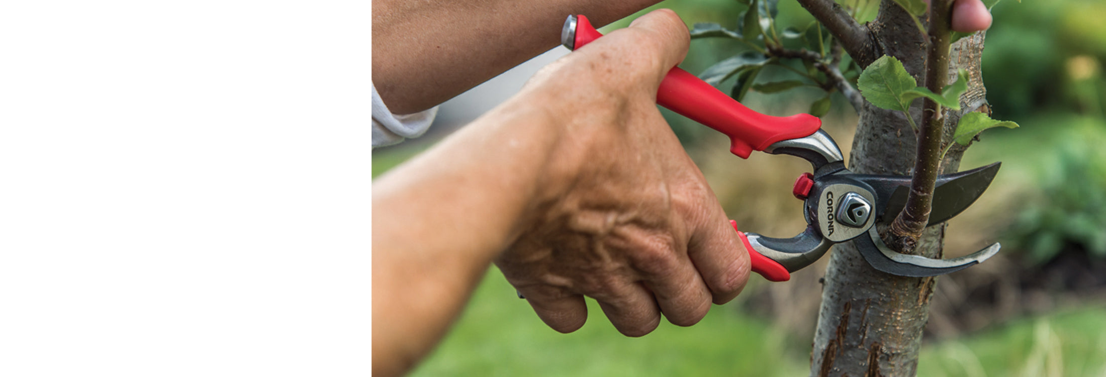 Corona Tools | Burgon & Ball – Burgon and Ball