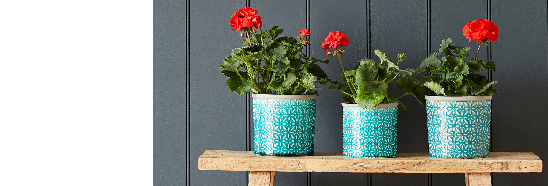 Indoor Plant Pots & Vases