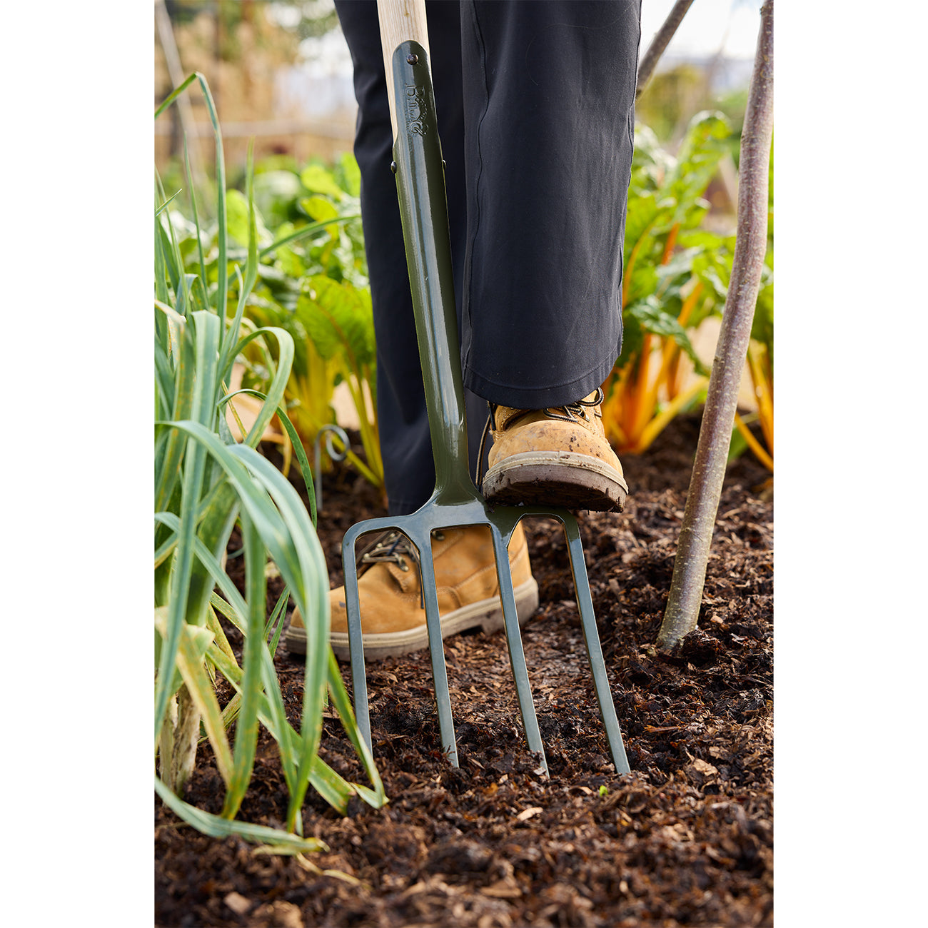 BoronGreen Digging Fork RHS Endorsed | Burgon & Ball – Burgon and Ball