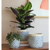 Collector Glazed Pot, Crème Geo, 16cm, by Burgon & Ball