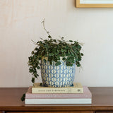 Collector Glazed Pot, Crème Geo, 13cm, by Burgon & Ball