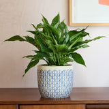 Collector Glazed Pot, Crème Geo, 18cm, by Burgon & Ball
