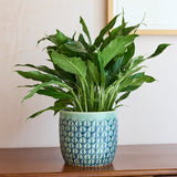 Collector Glazed Pot, Green Geo, 13cm, by Burgon & Ball