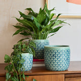 Collector Glazed Pot, Green Geo, 16cm, by Burgon & Ball