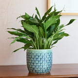 Collector Glazed Pot, Green Geo, 16cm, by Burgon & Ball