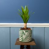 Collector Glazed Pot, Green Leaf, 13cm by Burgon & Ball