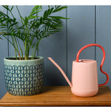 Collector Scalloped Indoor Watering Can, Blush, by Burgon & Ball