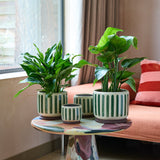 Collector Glazed Pot, Green Stripe, 10cm, by Burgon & Ball