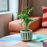 Collector Glazed Pot, Green Stripe, 10cm, by Burgon & Ball
