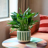 Collector Glazed Pot, Green Stripe, 16cm, by Burgon & Ball