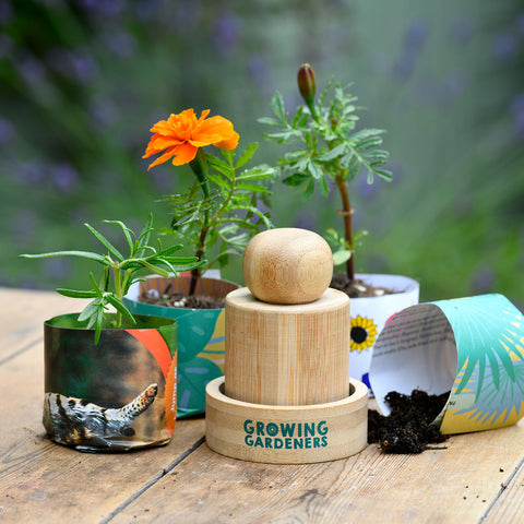 make your own paper plant pots Make Your Own Seedling Paper Pots